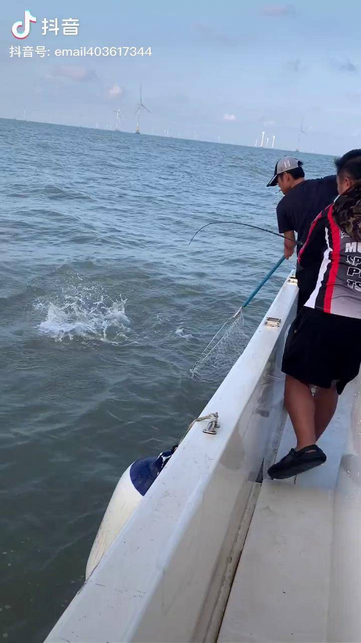 鸡骨海钓攻略(海钓的十种方法)