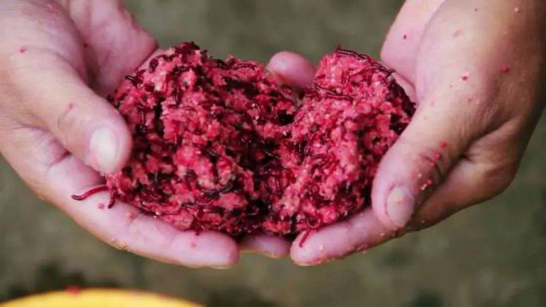 红虫挂钩技巧(红虫挂钩技巧和方法) 红虫挂钩技巧(红虫挂钩技巧和方法)