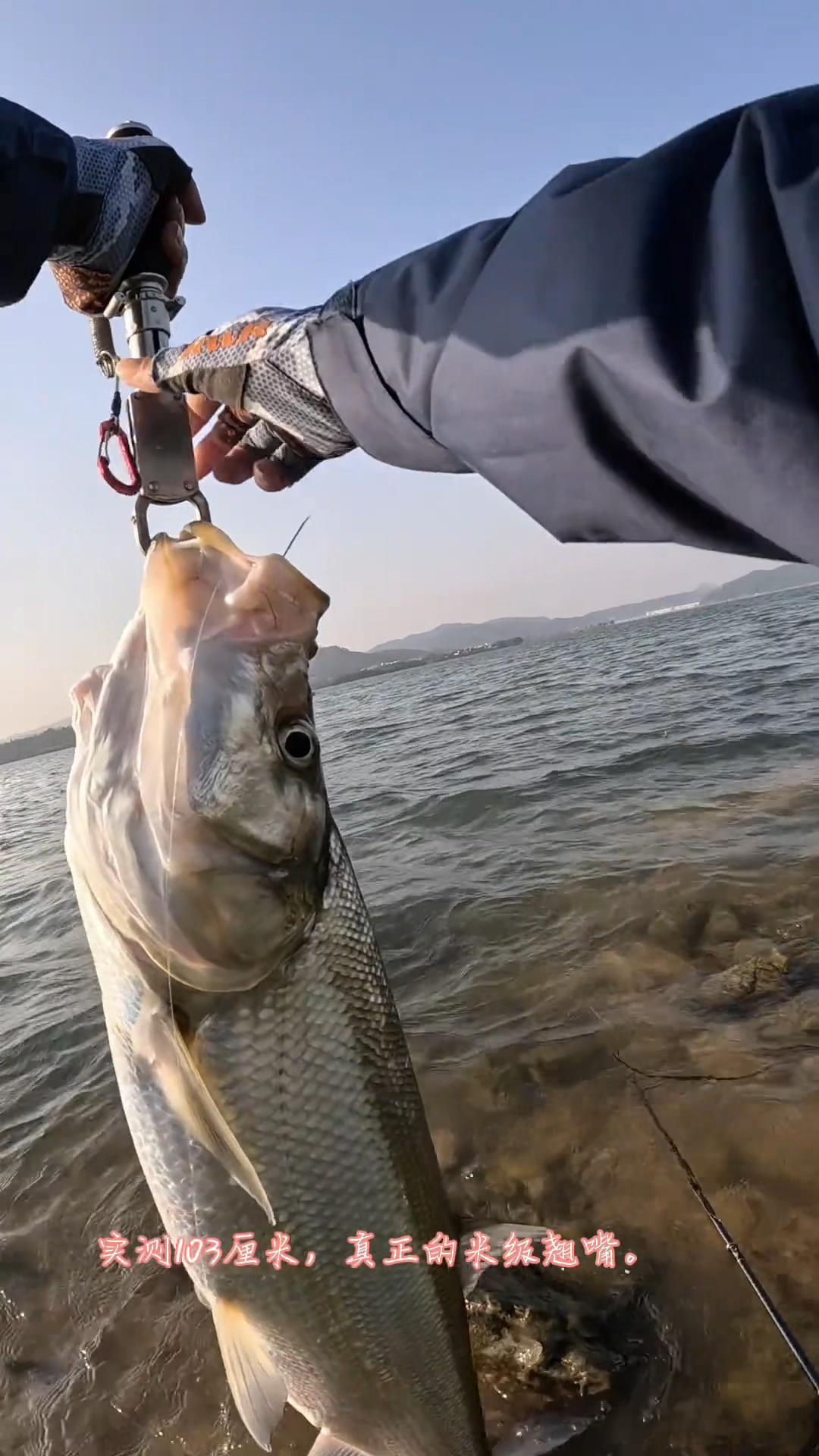 站桥上的路亚钓鱼视频(桥上路亚用什么饵) 站桥上的路亚钓鱼视频(桥上路亚用什么饵)