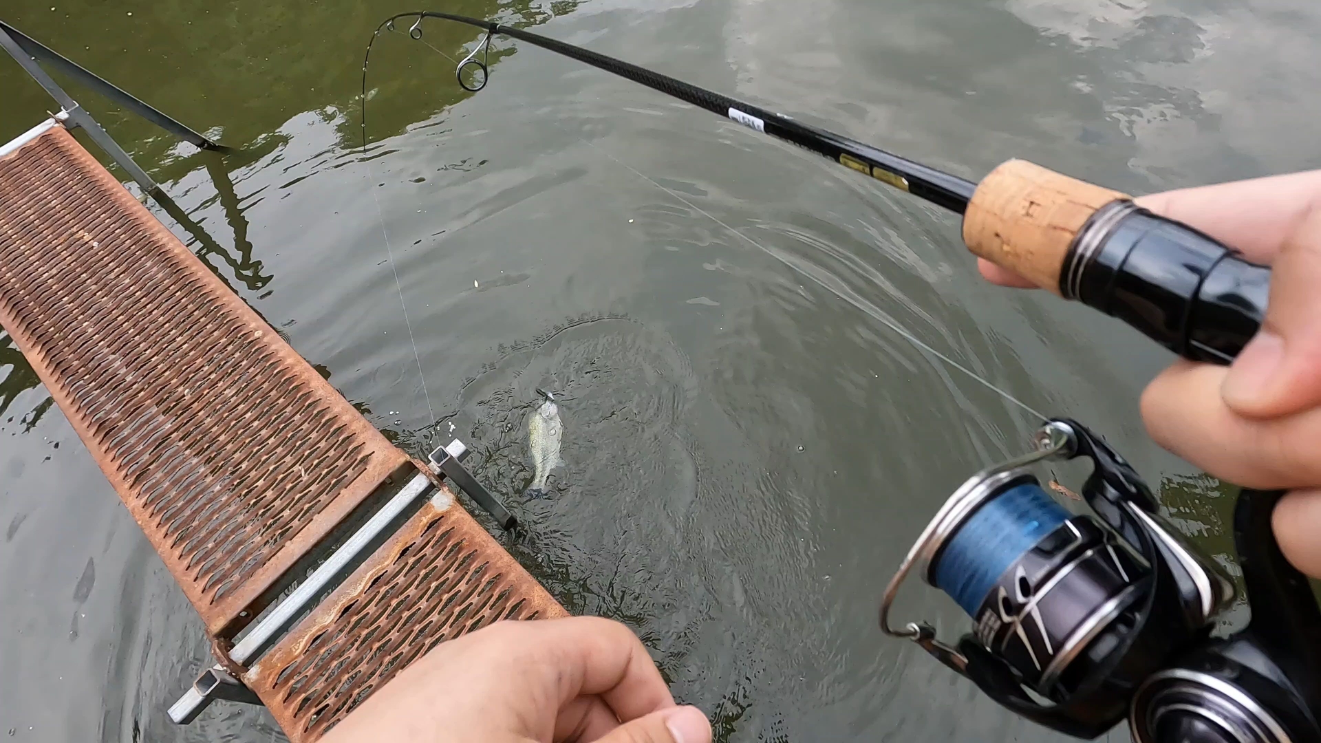 怎样钓鲈鱼技巧视频教程(钓鲈鱼教学视频)