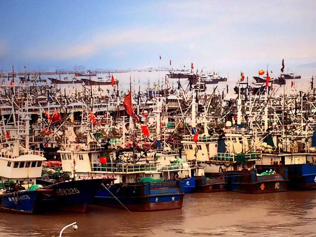 沈家门海钓地点(沈家门渔港游玩攻略) 沈家门海钓地点(沈家门渔港游玩攻略)