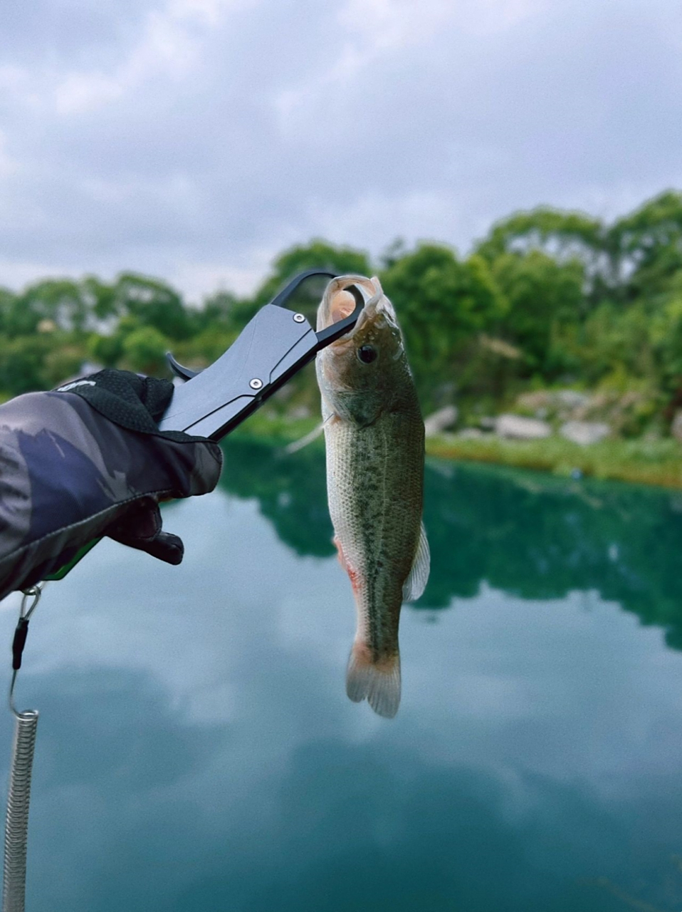 扬州快乐路亚(扬州哪里有路亚装备卖) 扬州快乐路亚(扬州哪里有路亚装备卖)
