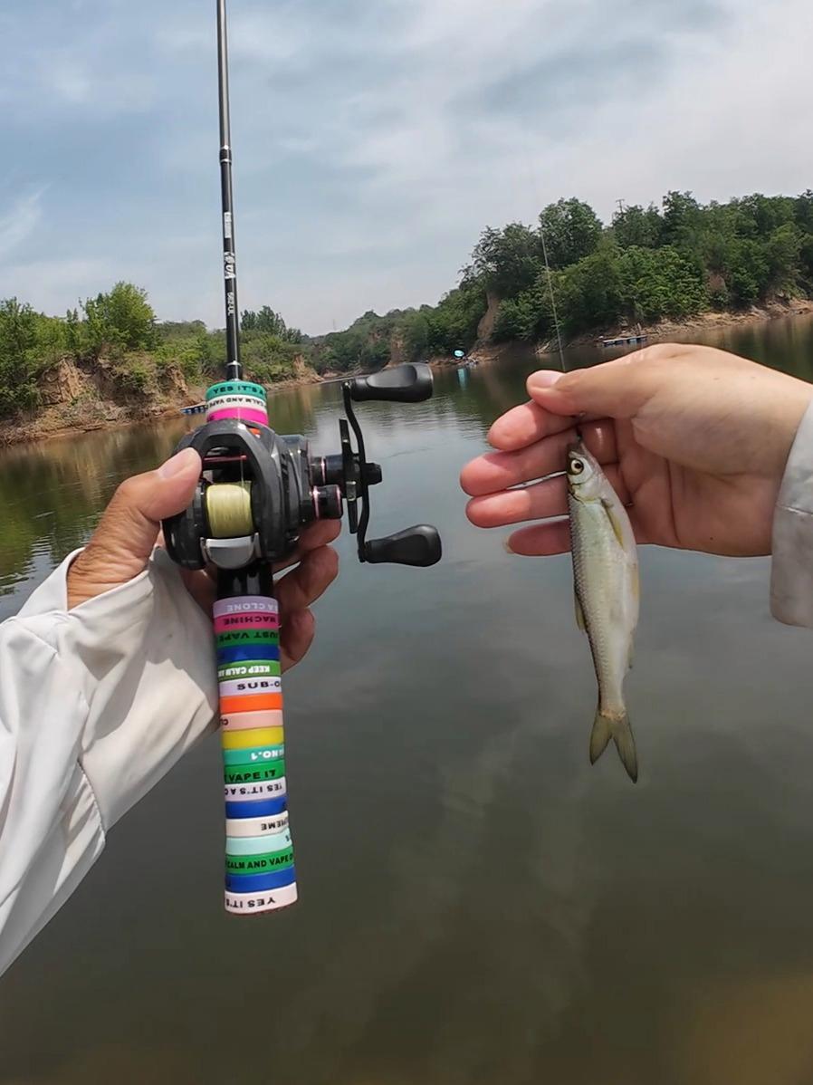 用什么路亚白条(路亚什么饵钓白条好一点) 用什么路亚白条(路亚什么饵钓白条好一点)