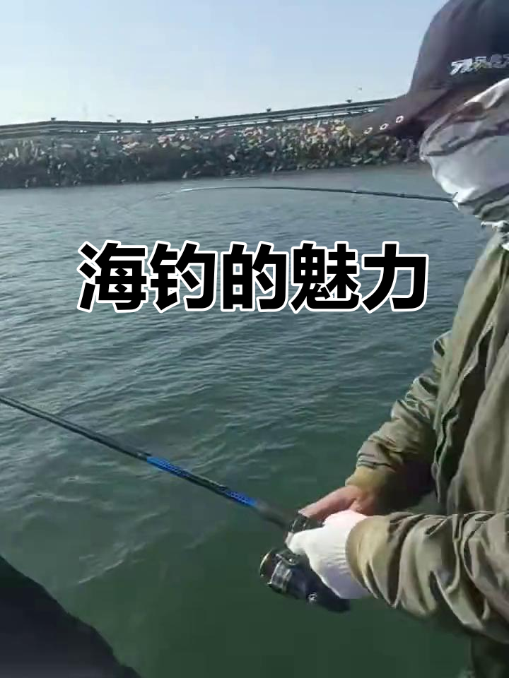 钓鱼人海钓视频教程(海钓鱼视频野钓实战高清) 钓鱼人海钓视频教程(海钓鱼视频野钓实战高清)