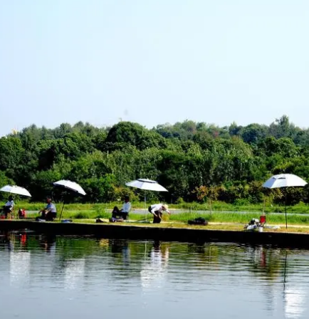 垂钓园的经营技巧四亩(垂钓园怎么挣钱)