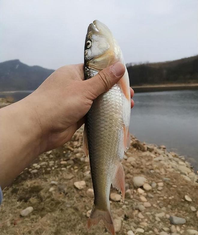 保定路亚马口(河北路亚马口)