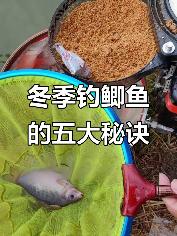 冬季垂钓技巧鲫鱼(冬季垂钓技巧鲫鱼视频)