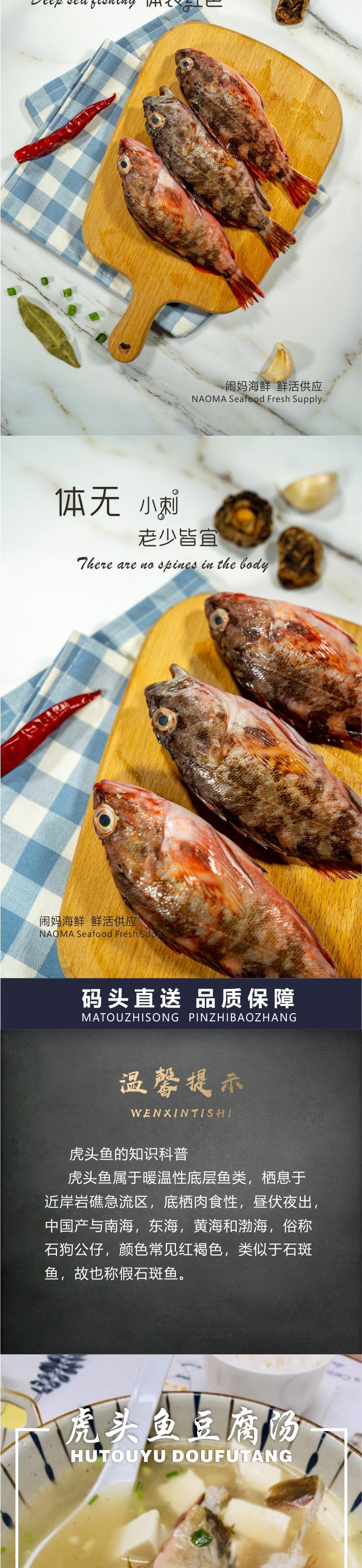 舟山海钓的鱼种(舟山海钓鱼视频)