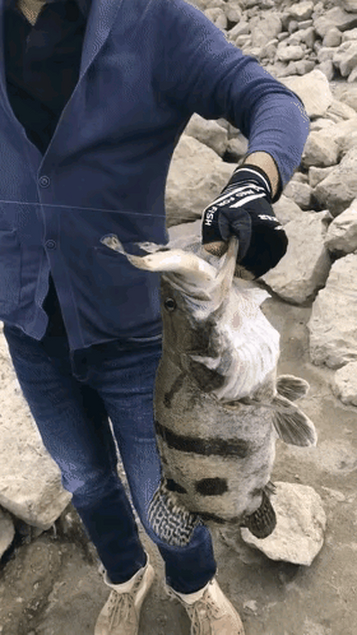 长沙时尚路亚(时尚芭莎官网订购)