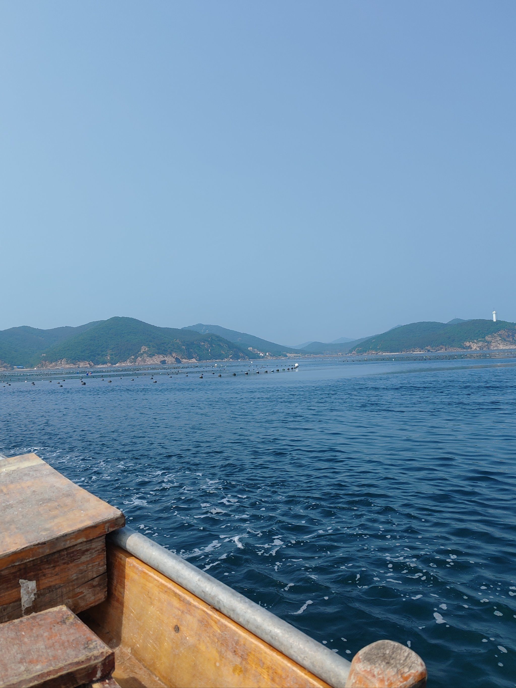 大连龙王塘海钓租船(大连龙王塘船钓经验分享)