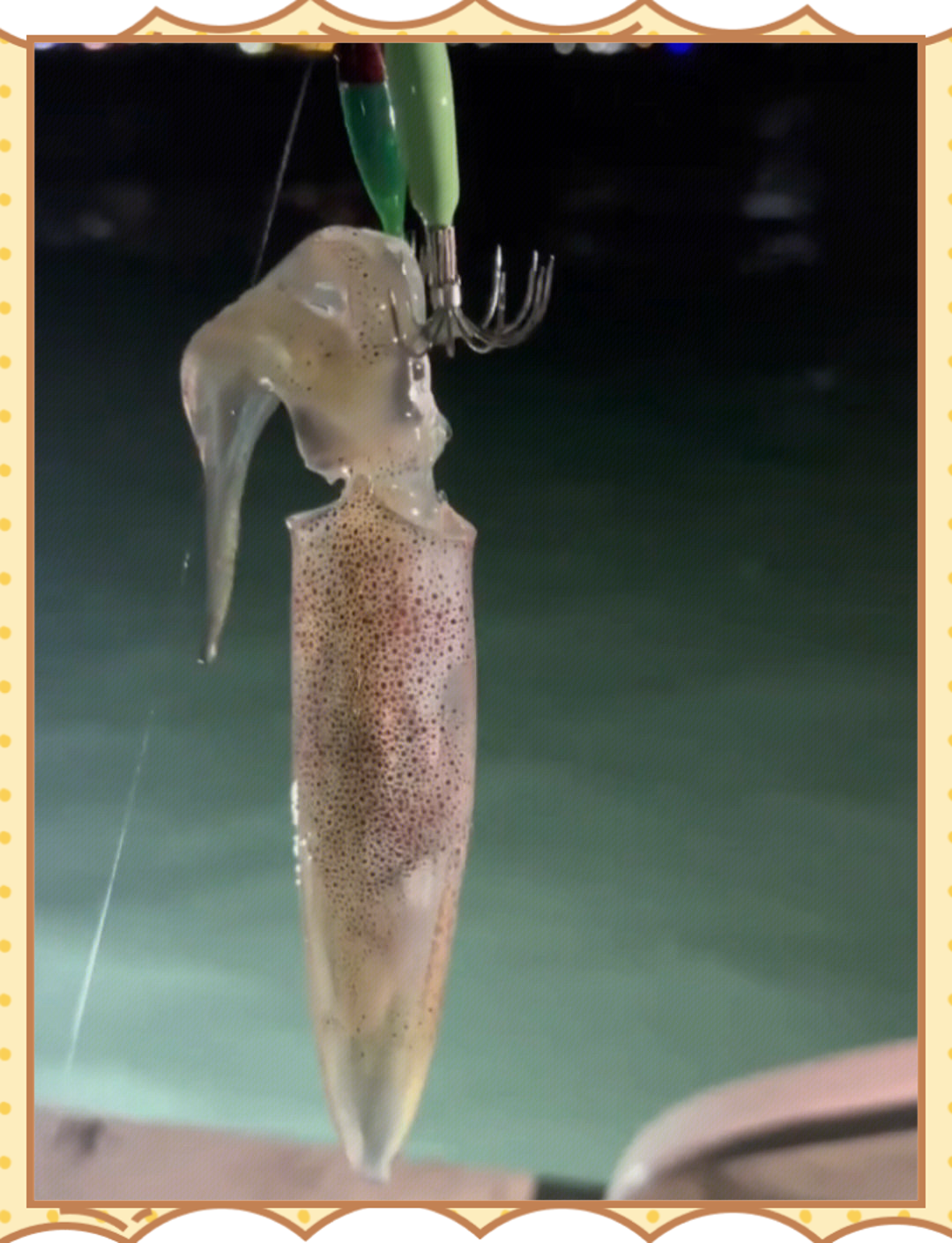 深海钓鱿鱼(深海钓鱿鱼用几号线合适)