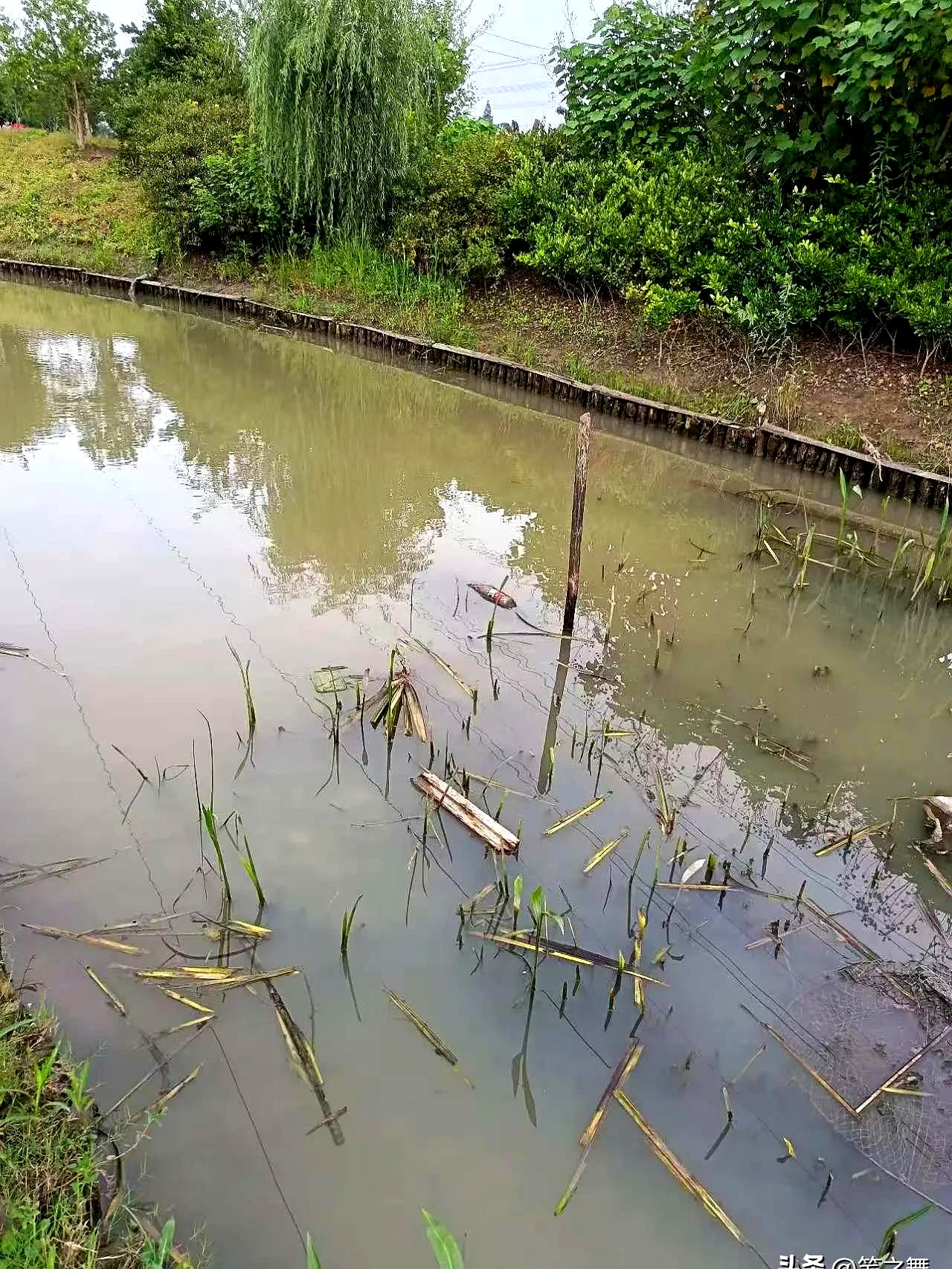 2018上海钓哪里(上海钓鱼的地方 野钓)