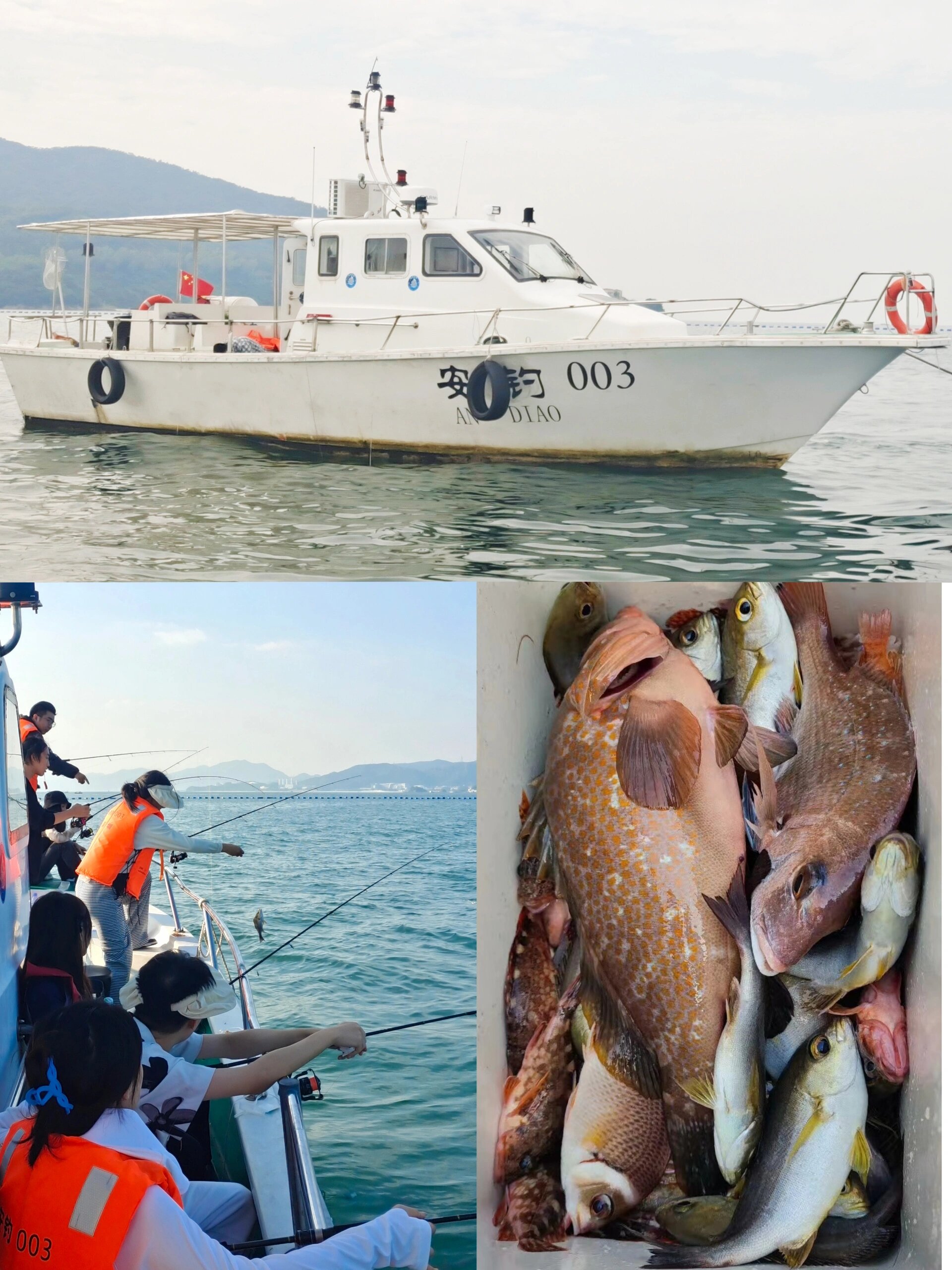 北京海钓论坛(北京 海钓)