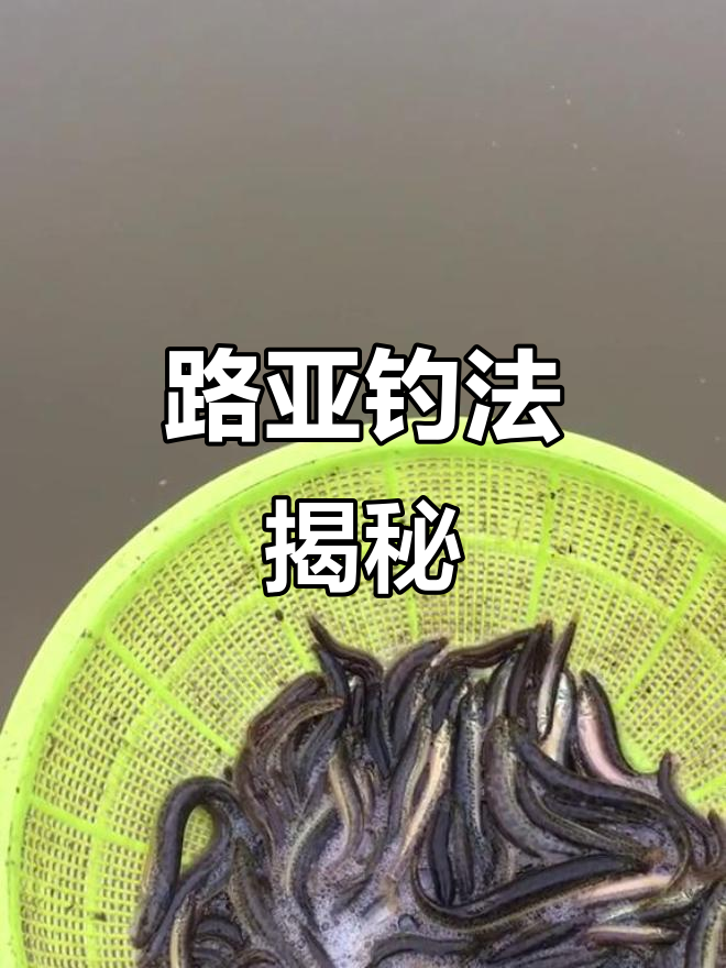 怎么路亚泥鳅(路亚泥鳅怎么挂钩)