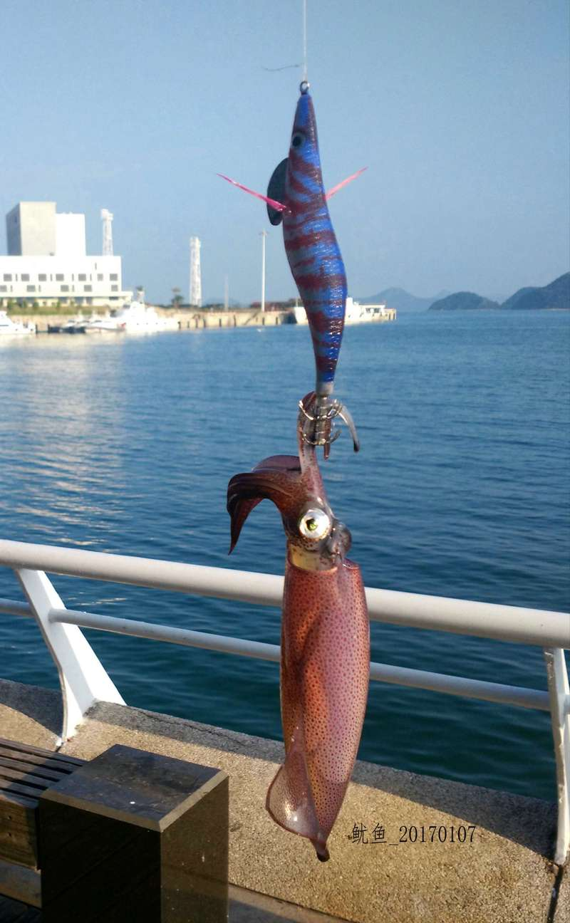 深圳免费海钓(深圳海边钓点)