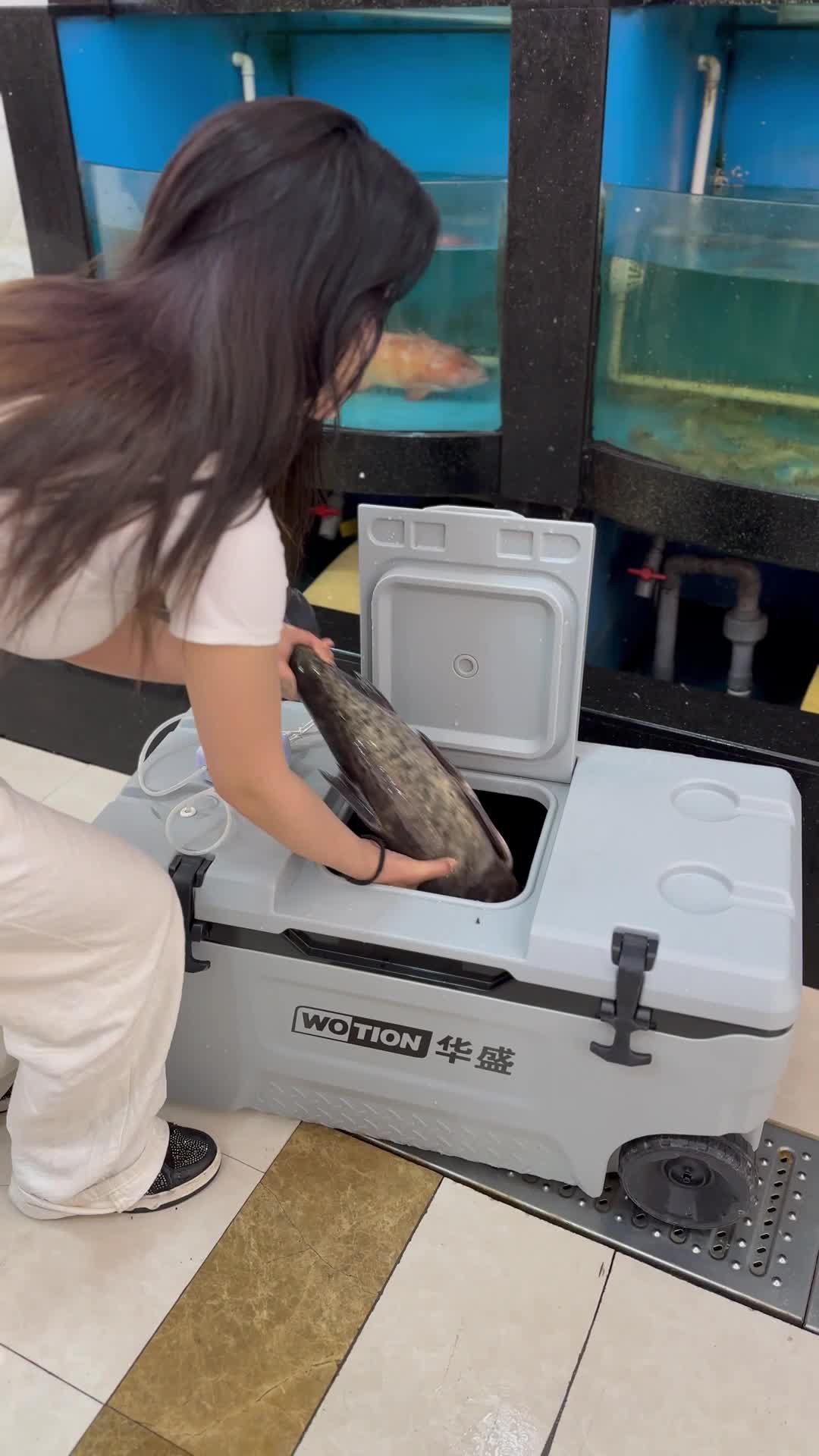 望海钓箱安装图片(望海钓箱背带怎么安装)