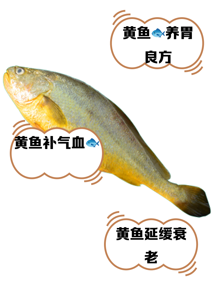 海钓皇姑鱼价格(海钓皇姑鱼价格多少)