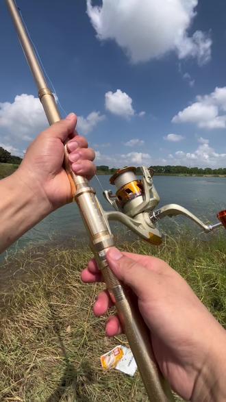 海钓大鱼鱼竿(海钓大鱼鱼竿怎么选)