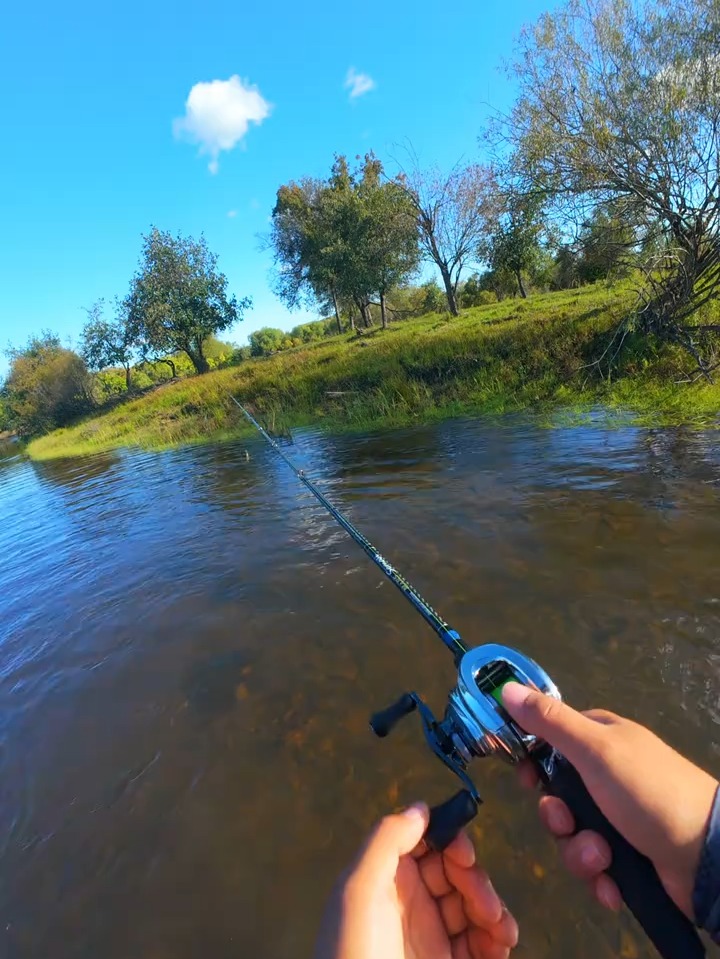 关于路亚游戏手机版的信息