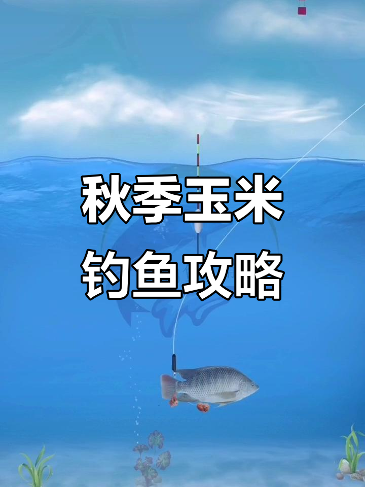 玉米逗钓技巧(玉米逗钓技巧和方法)