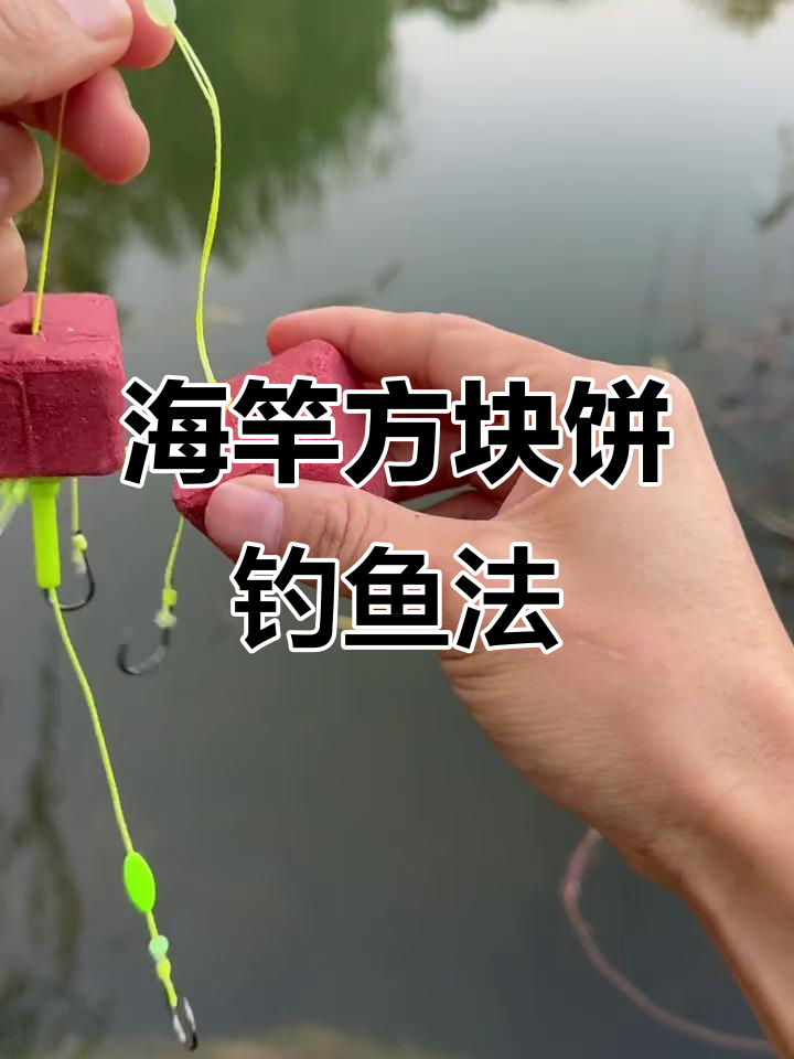 海富钓鱼技巧(钓海富鱼的技巧)