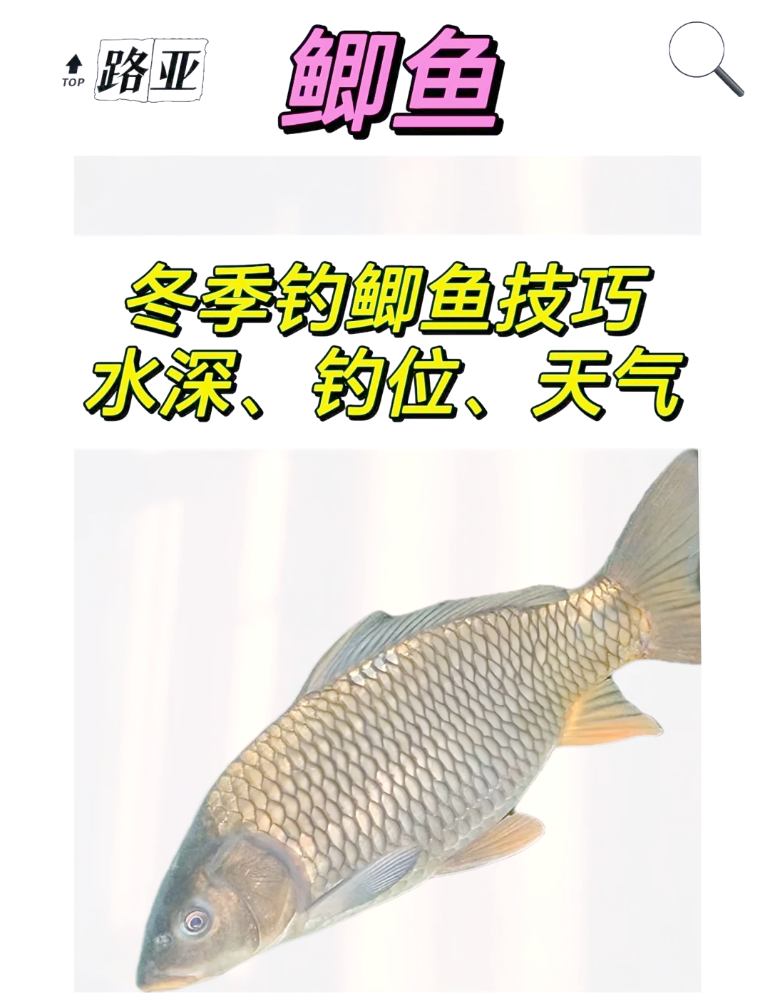 冬季海钓什么天气合适(冬天海钓是钓底还是钓浮)