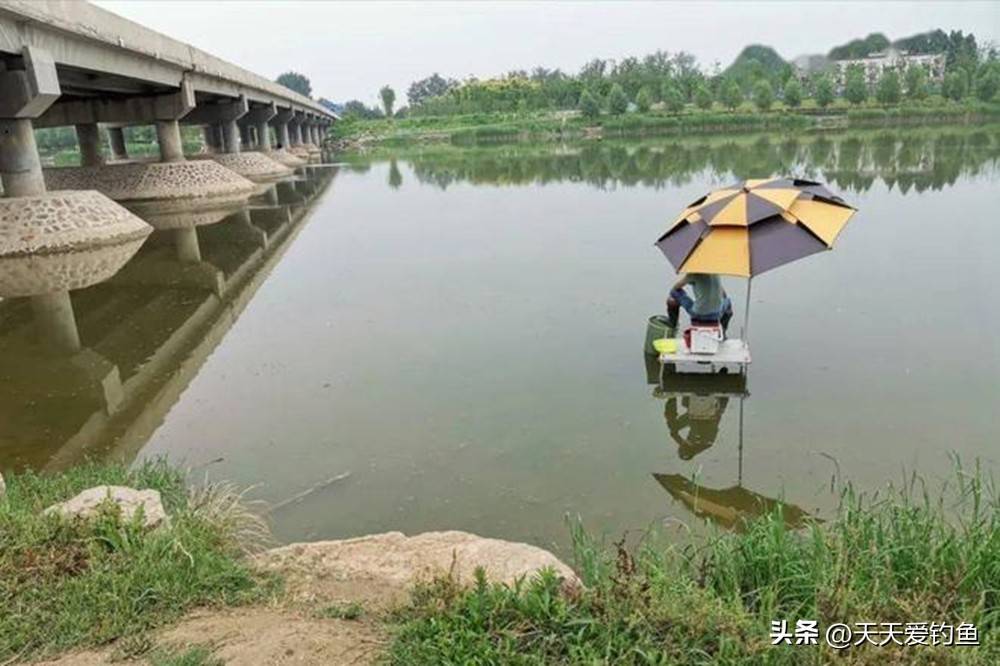 秋季库钓技巧视频(秋季水库钓鲫鱼方法和技巧)