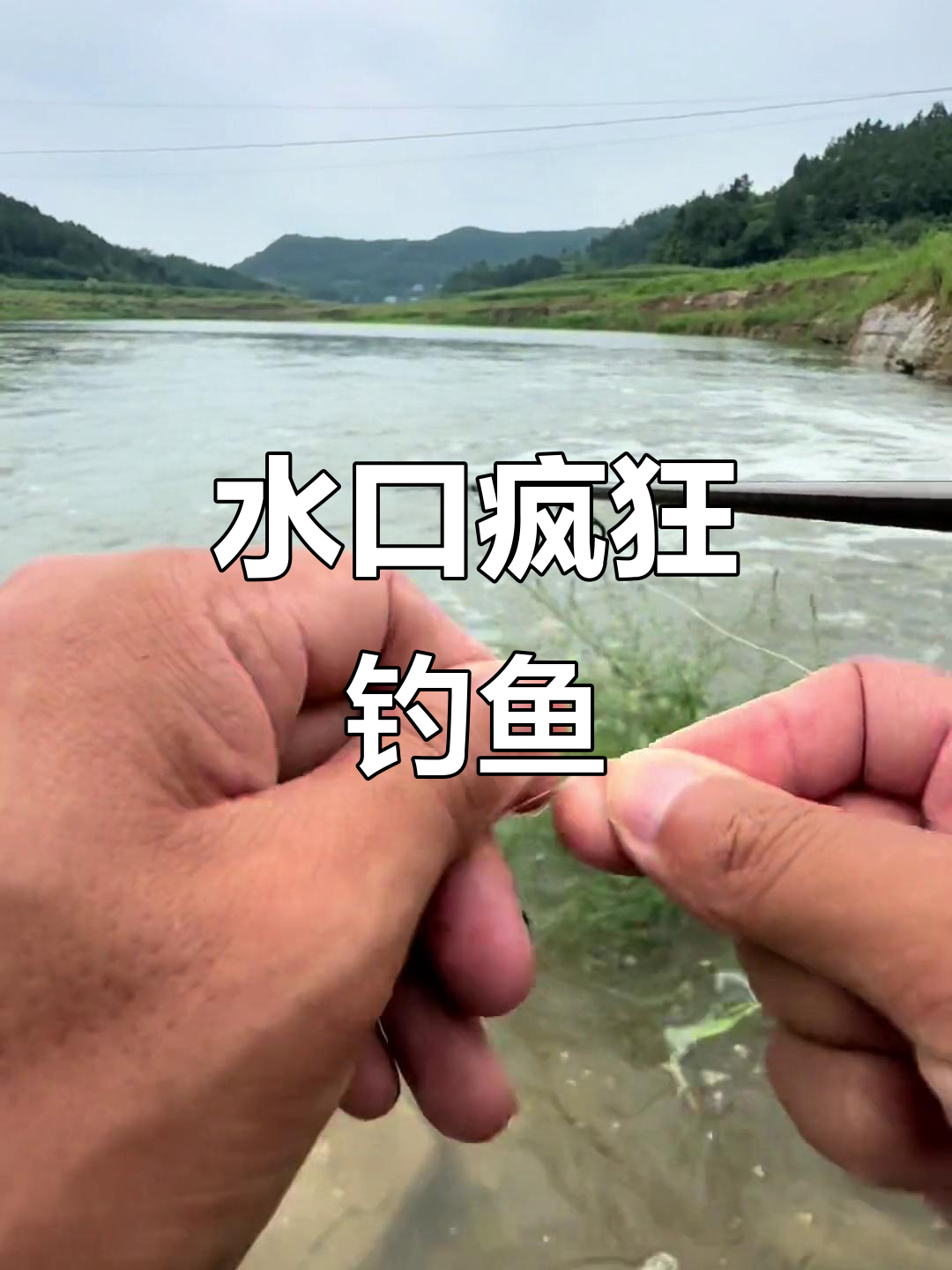 虾钓红尾的技巧(虾米钓红尾)