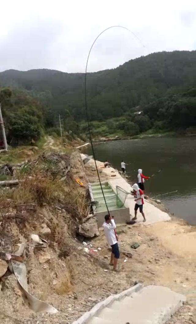 柠檬钓鱼技巧视频教程(柠檬怎么制作钓鱼小药)