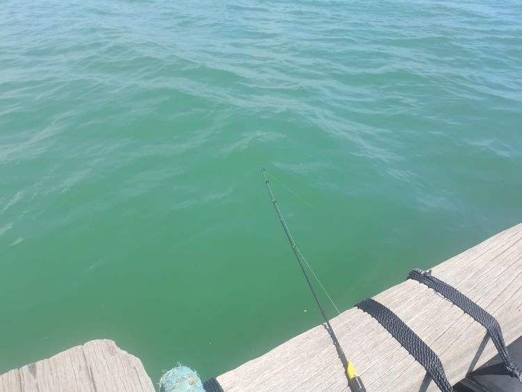 阳江东平海钓(阳江东平赶海的地方在哪里)