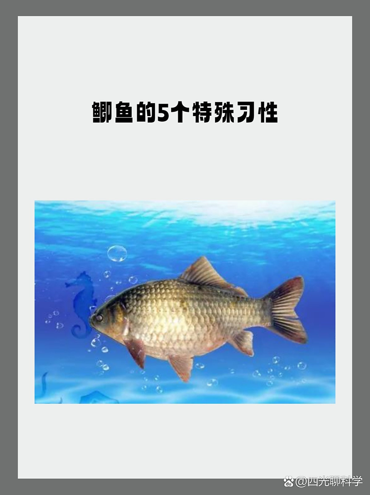 光水塘雷强技巧(猎魔人雷强竿打黑视频)