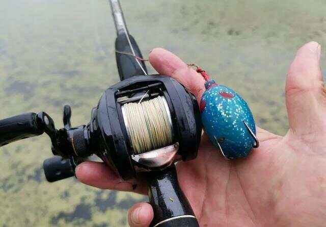 光水塘雷强技巧(猎魔人雷强竿打黑视频)