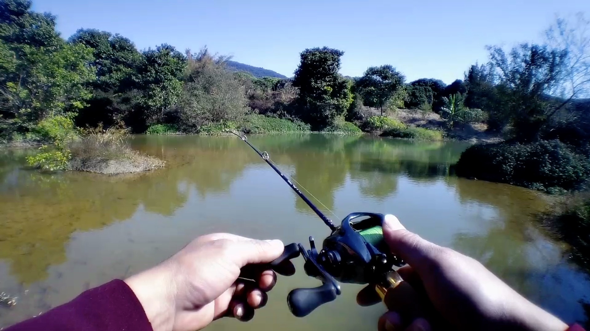 溪流路亚俱乐部(男子游泳俱乐部第一季)