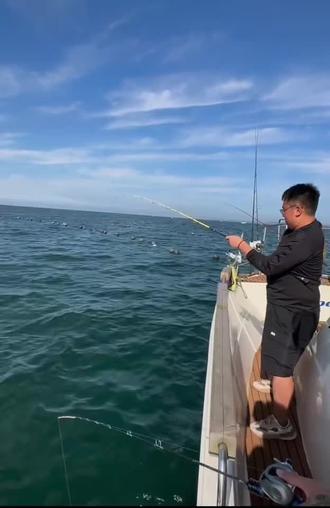 钓鱼艇出海钓鱼(钓鱼艇出海钓鱼需要办理什么证件)