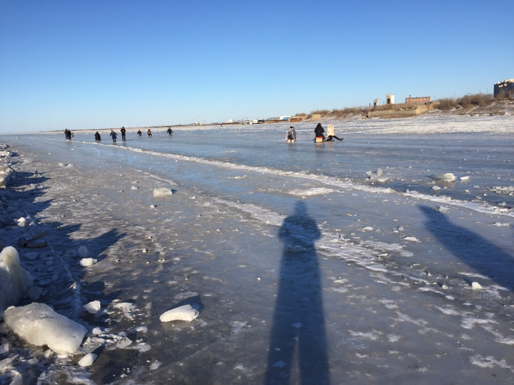 冬天江里下网技巧(丹参和红枣能疏通血管吗)