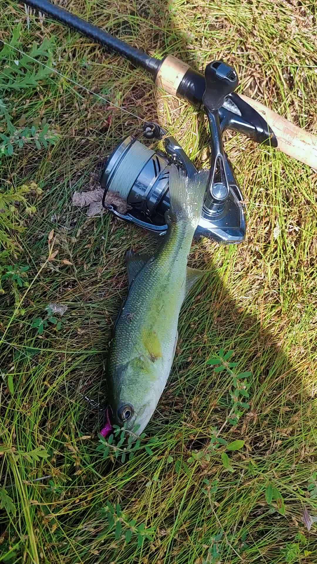 南方深冬路亚(南方旅游城市排名前十)