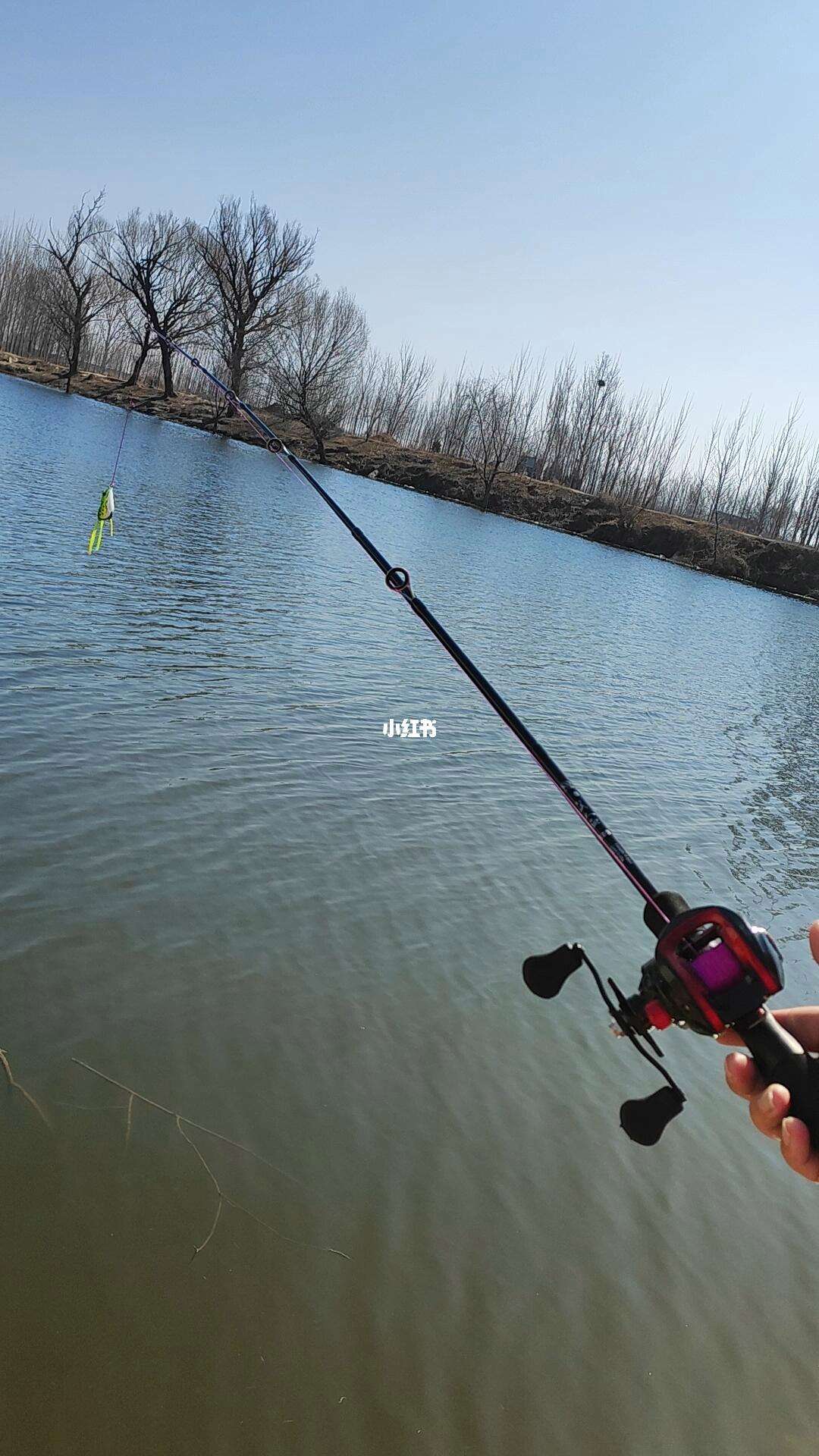 钓鱼路亚杆(钓鱼路亚杆子钓鱼用什么钩子不犯法)