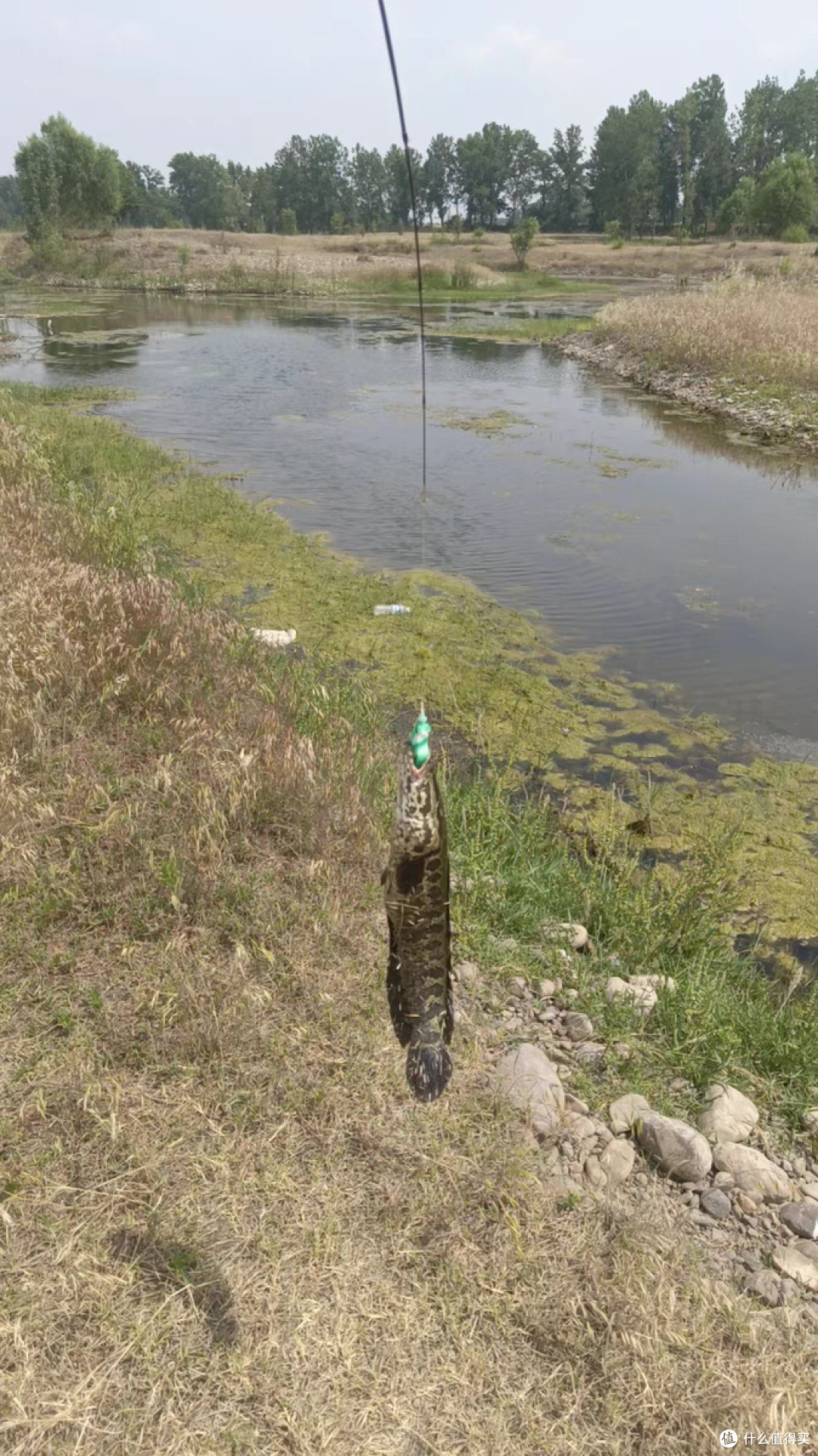 征战路亚鱼竿(路亚竿征途和征服的区别)