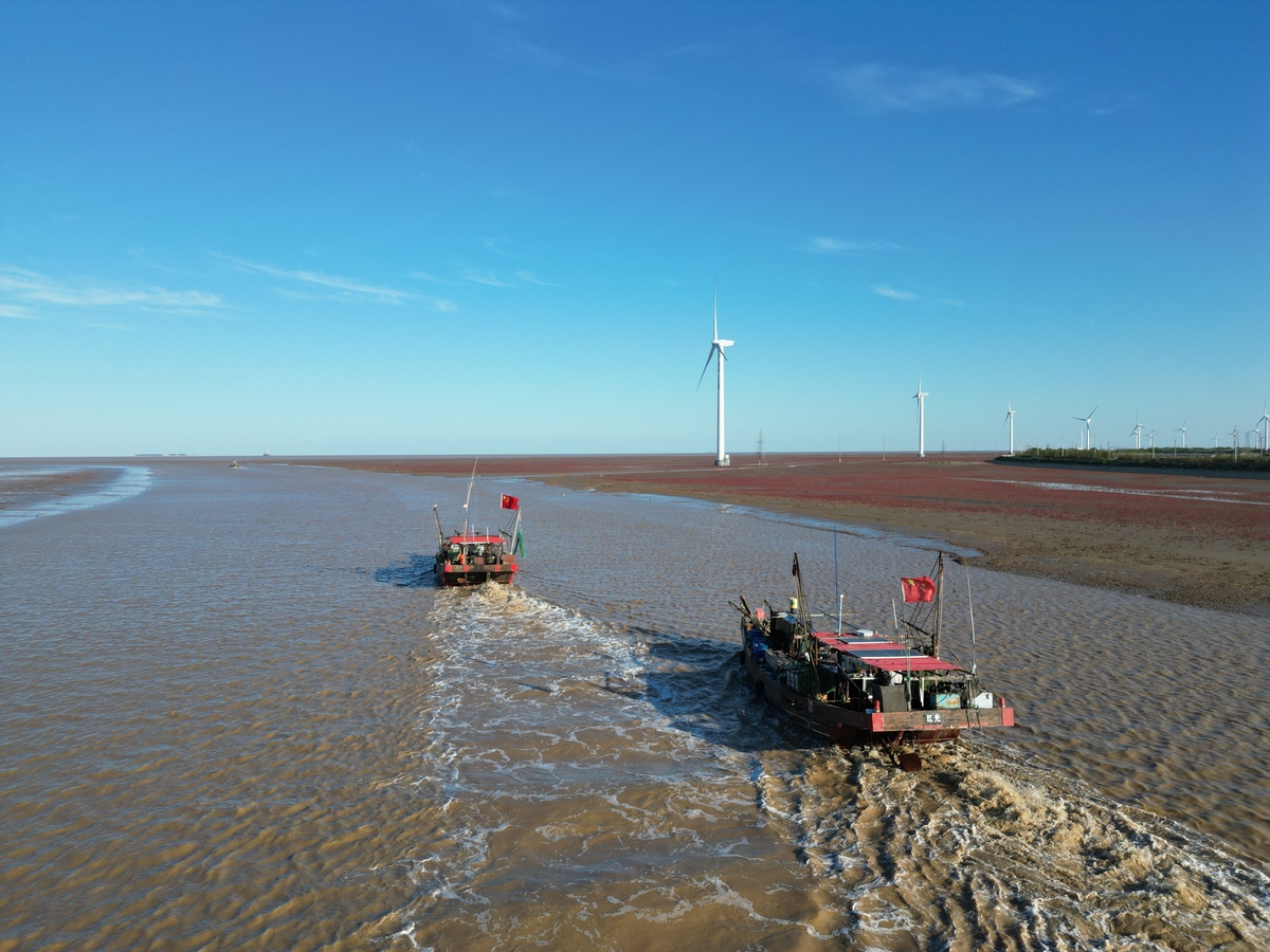 曹妃甸溯河海钓(曹妃甸海钓最佳地点)