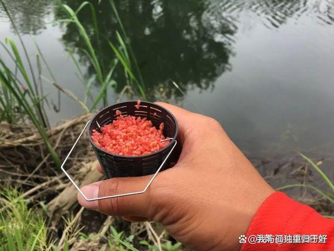 秋季水库钓打窝技巧(秋季水库钓鱼用啥饵料) 秋季水库钓打窝技巧(秋季水库钓鱼用啥饵料)