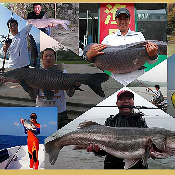 阿蒙森渔具官方首页(阿蒙森是哪里的品牌) 阿蒙森渔具官方首页(阿蒙森是哪里的品牌)