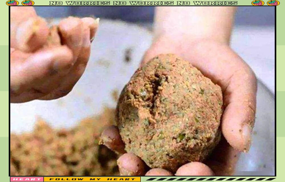 初夏用什么味型的饵料(初夏用什么饵料钓鱼) 初夏用什么味型的饵料(初夏用什么饵料钓鱼)