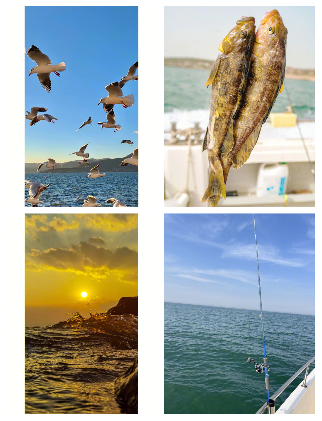 威海周边租船出海钓鱼(威海周边租船出海钓鱼的地方) 威海周边租船出海钓鱼(威海周边租船出海钓鱼的地方)