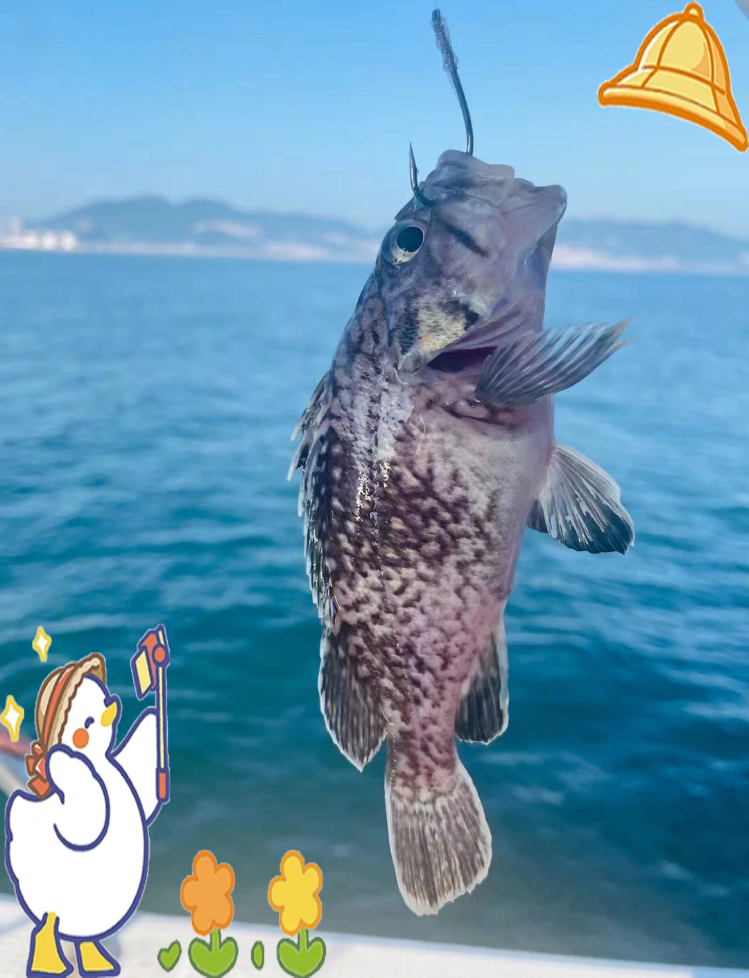 威海周边租船出海钓鱼(威海周边租船出海钓鱼的地方) 威海周边租船出海钓鱼(威海周边租船出海钓鱼的地方)