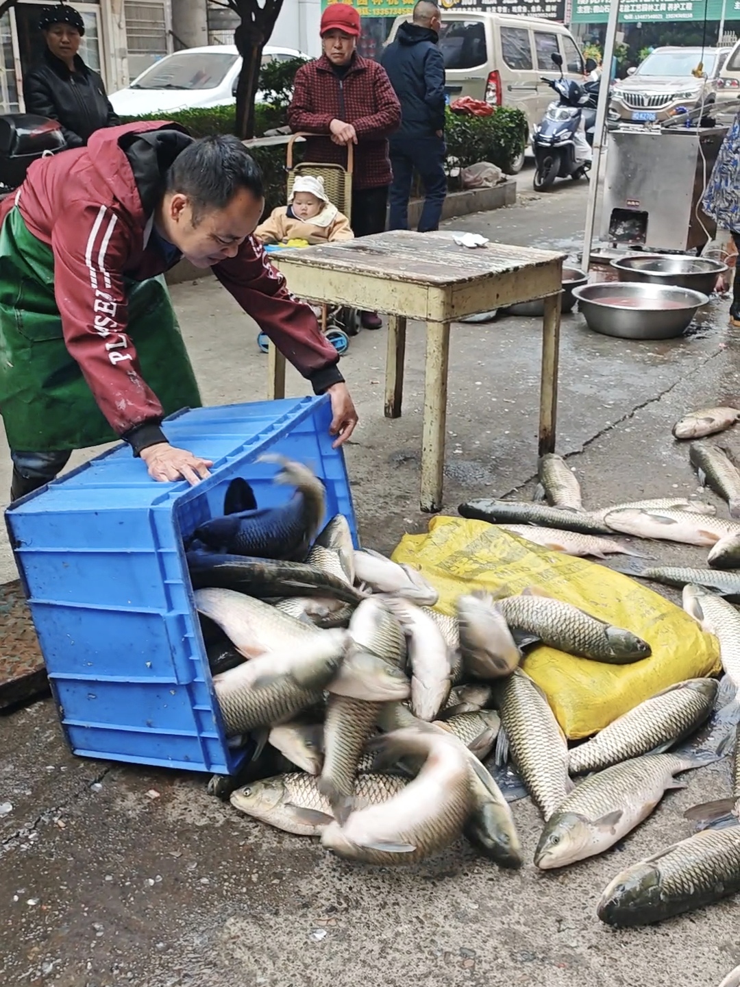 杀草鱼技巧大全(杀草鱼技巧大全图解) 杀草鱼技巧大全(杀草鱼技巧大全图解)