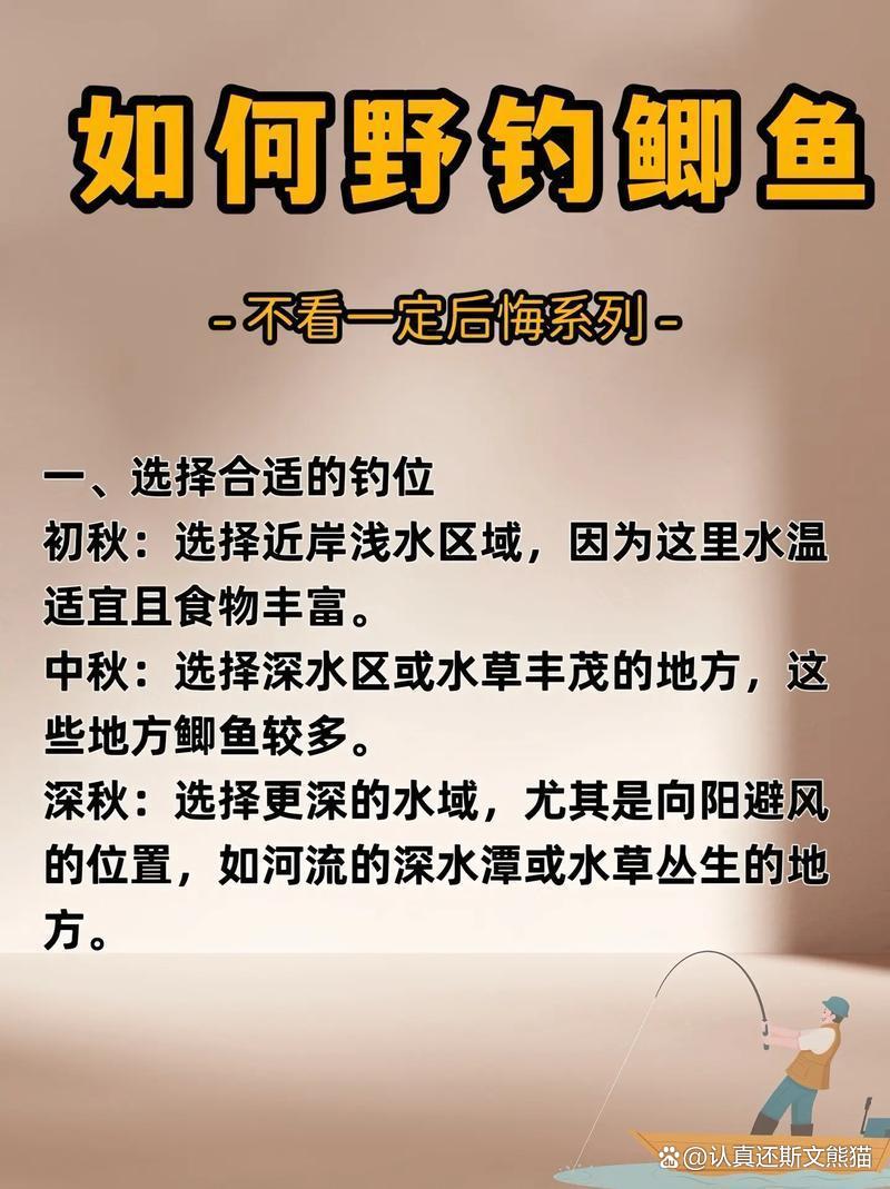 秋天怎么钓鲫鱼技巧视频(秋天钓鱼技巧野钓鲫鱼饵料) 秋天怎么钓鲫鱼技巧视频(秋天钓鱼技巧野钓鲫鱼饵料)