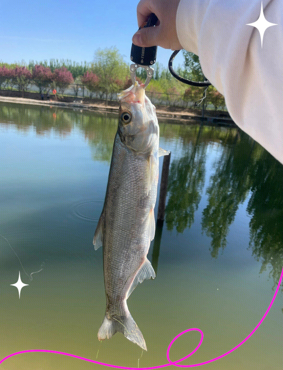 罗甸玩路亚(罗甸路亚标点) 罗甸玩路亚(罗甸路亚标点)