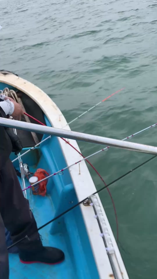 海钓12度还能钓鱼吗(海钓温度过低好钓鱼么) 海钓12度还能钓鱼吗(海钓温度过低好钓鱼么)