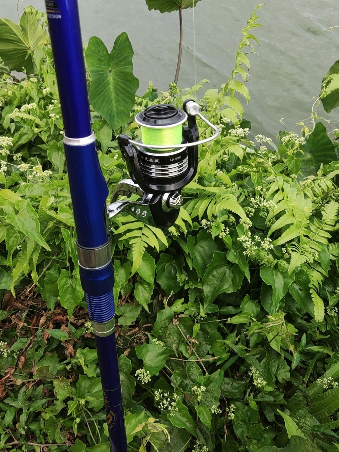 长杆渔具(长杆鱼竿什么牌子好) 长杆渔具(长杆鱼竿什么牌子好)