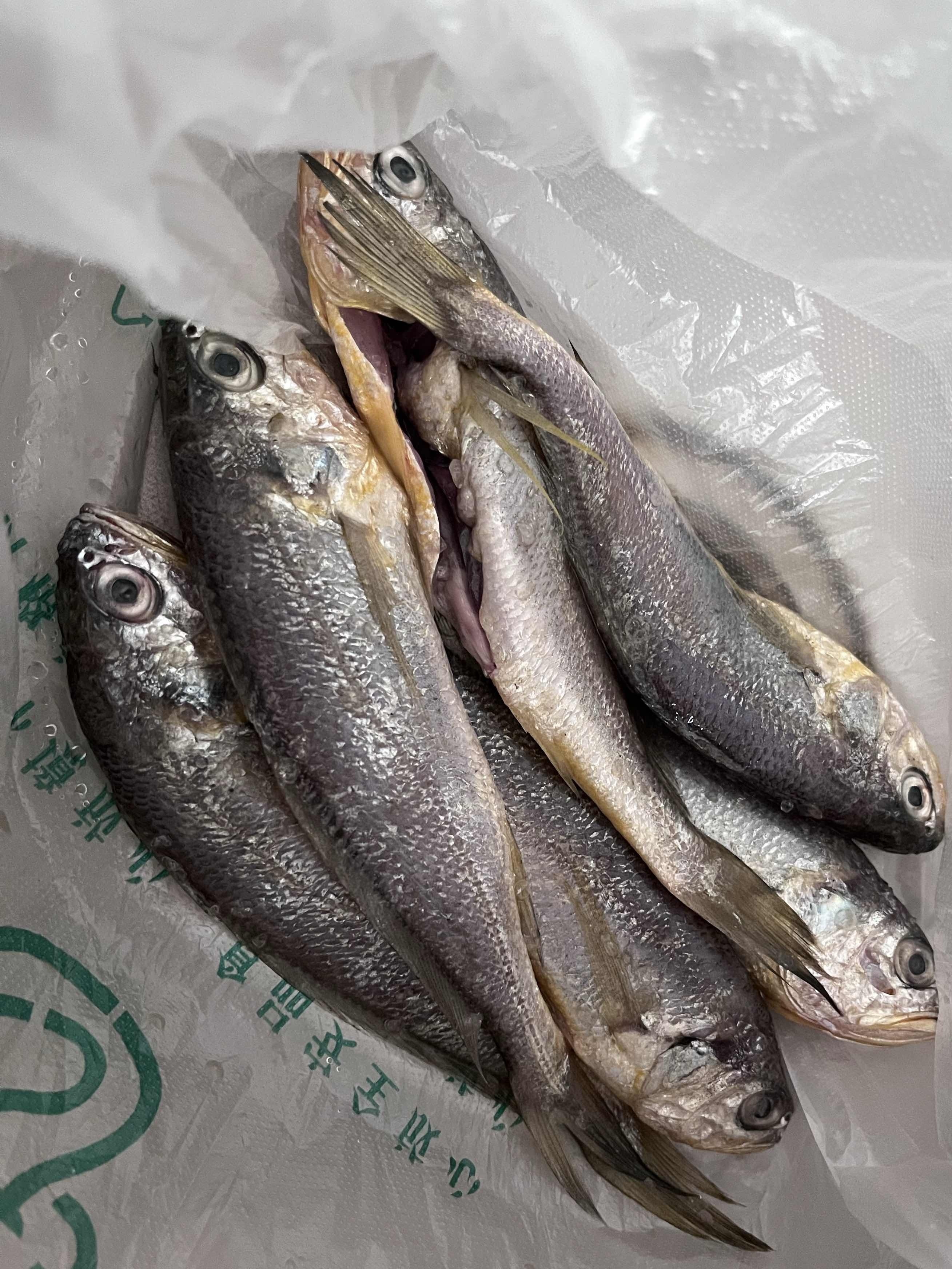 董家口海钓多钱(海竿价格50元推荐) 董家口海钓多钱(海竿价格50元推荐)